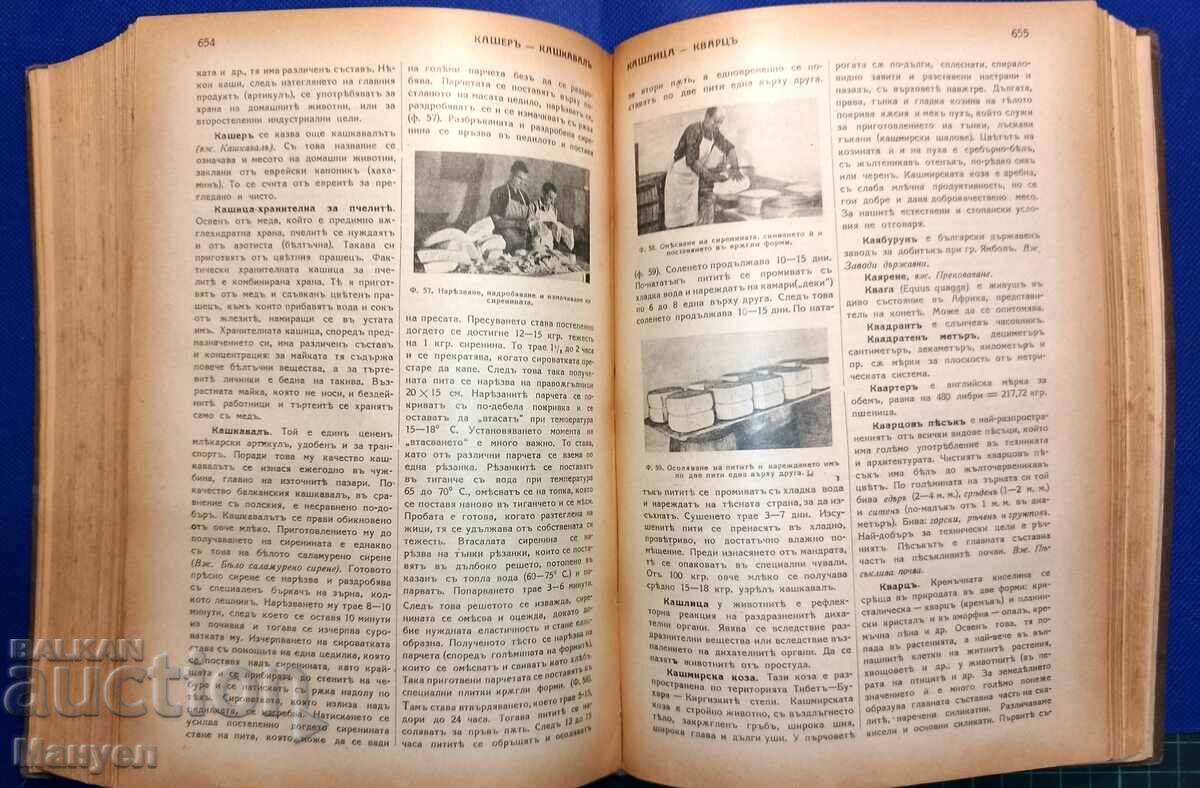 Εικονογραφημένη Εγκυκλοπαίδεια της Γεωργίας, Τόμος Ι. - 5