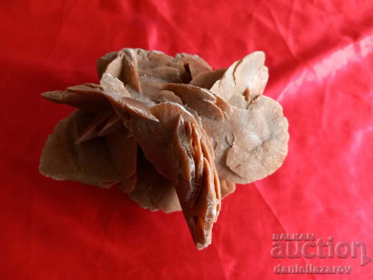 Auction  Large Druze, Fossil, Fossil DESERT ROSE 664g.