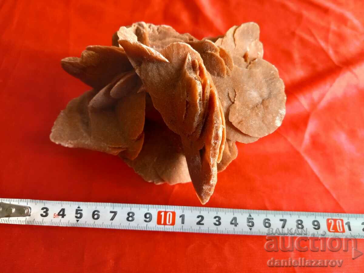Delivery of Large Druze, Fossil, Fossil DESERT ROSE 664g.