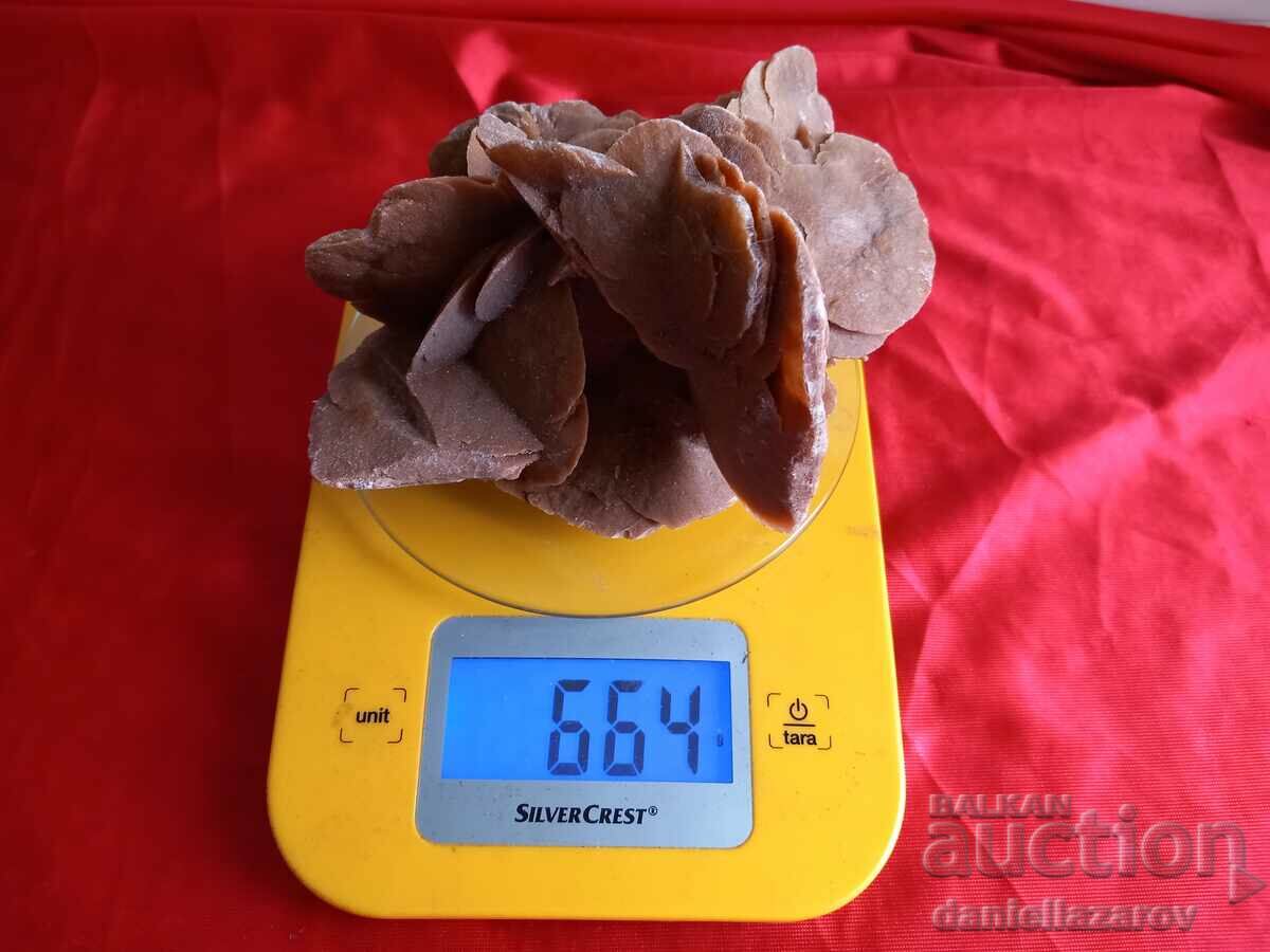 Large Druze, Fossil, Fossil DESERT ROSE 664g. - 5