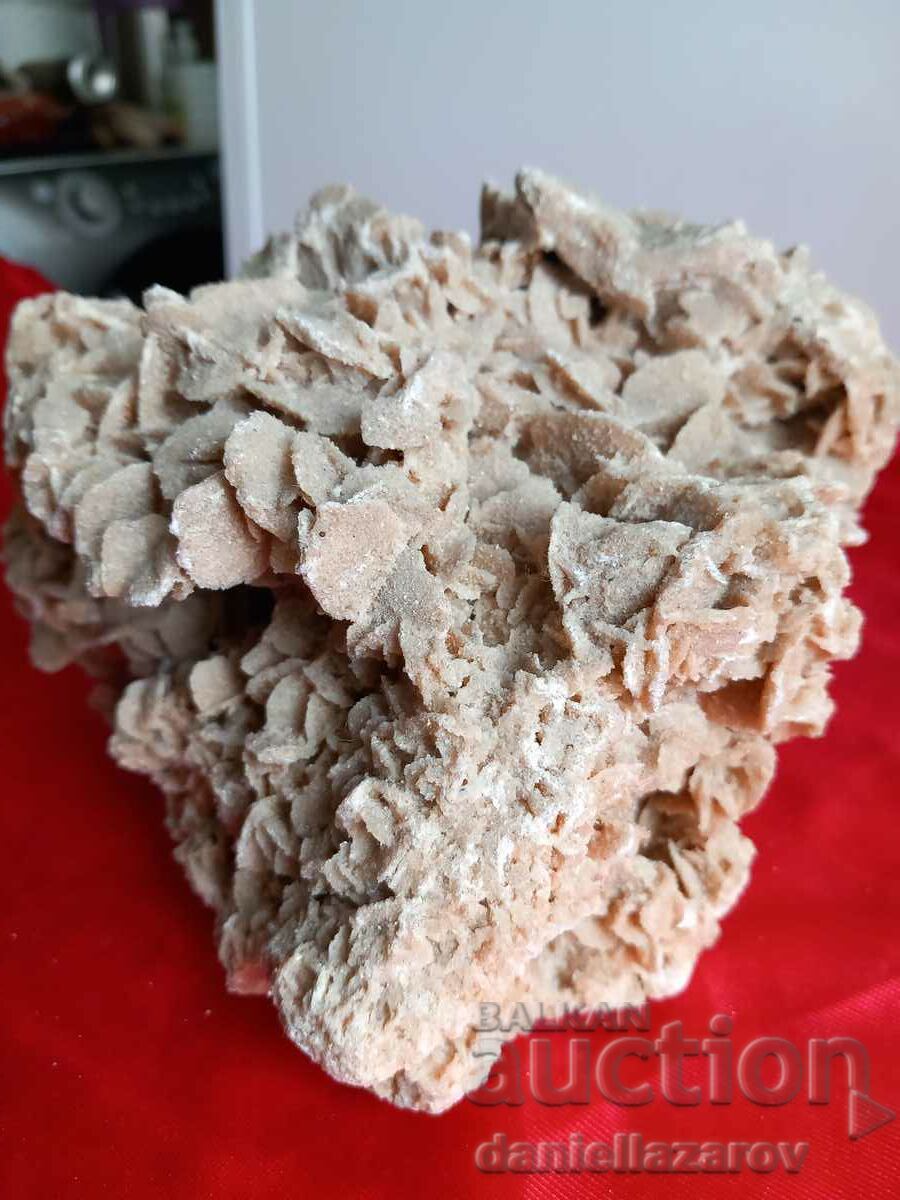 Huge Druze, Fossil, Fossil DESERT ROSE 1.322kg.  with price 65.00 BGN | € 33.23