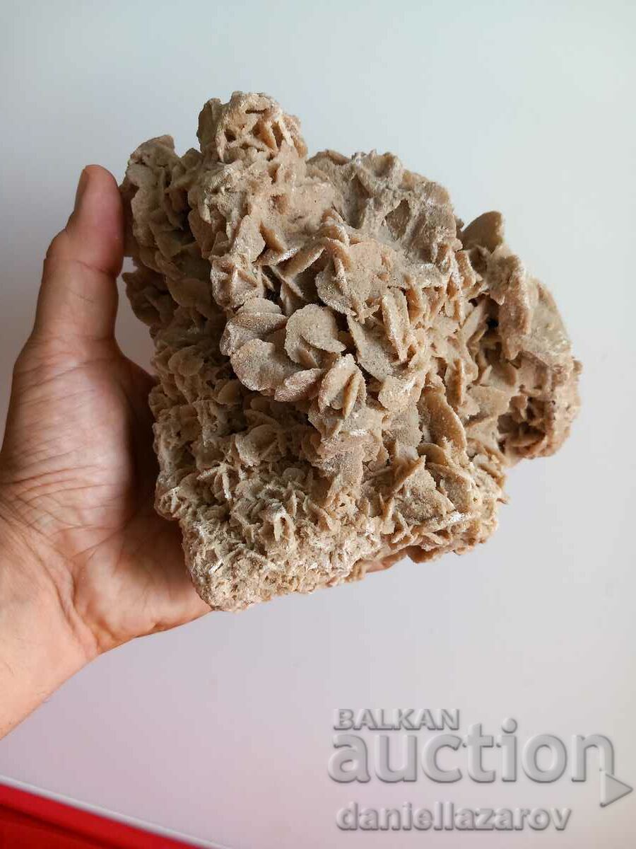Huge Druze, Fossil, Fossil DESERT ROSE 1.322kg.  - 5