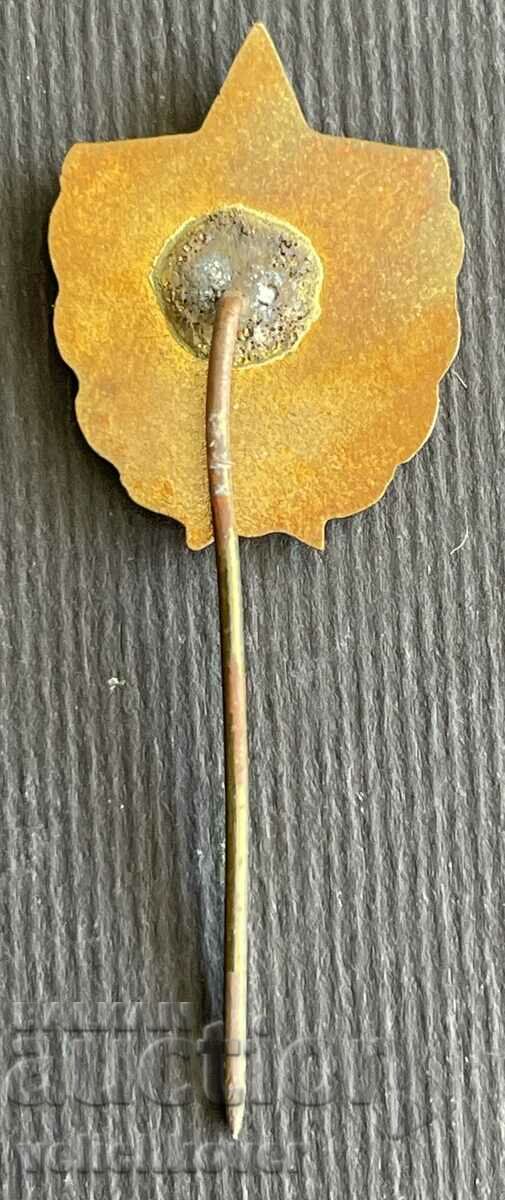 38105 Bulgaria sign VIF Higher Institute of Physical Education email with price 5.00 BGN | € 2.56 38105 Bulgaria sign VIF Higher Institute of Physical Education email with price 5.00 BGN | € 2.56