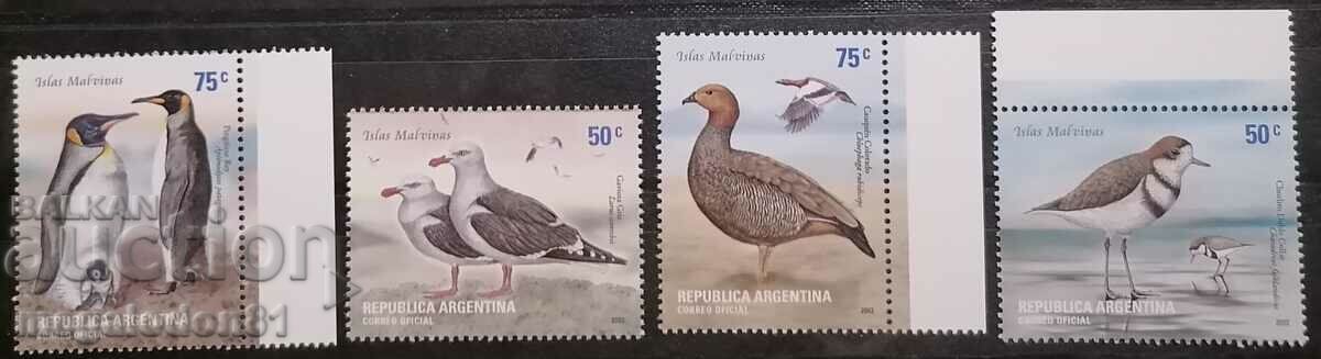 Argentina - fauna de coastă, păsări