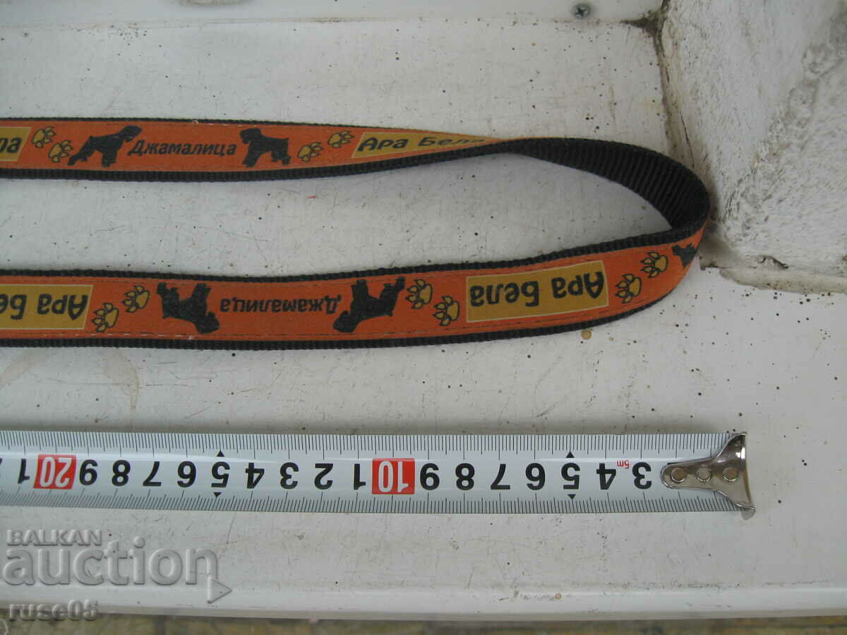 Licitație Carcasă pentru un câine nou - 3