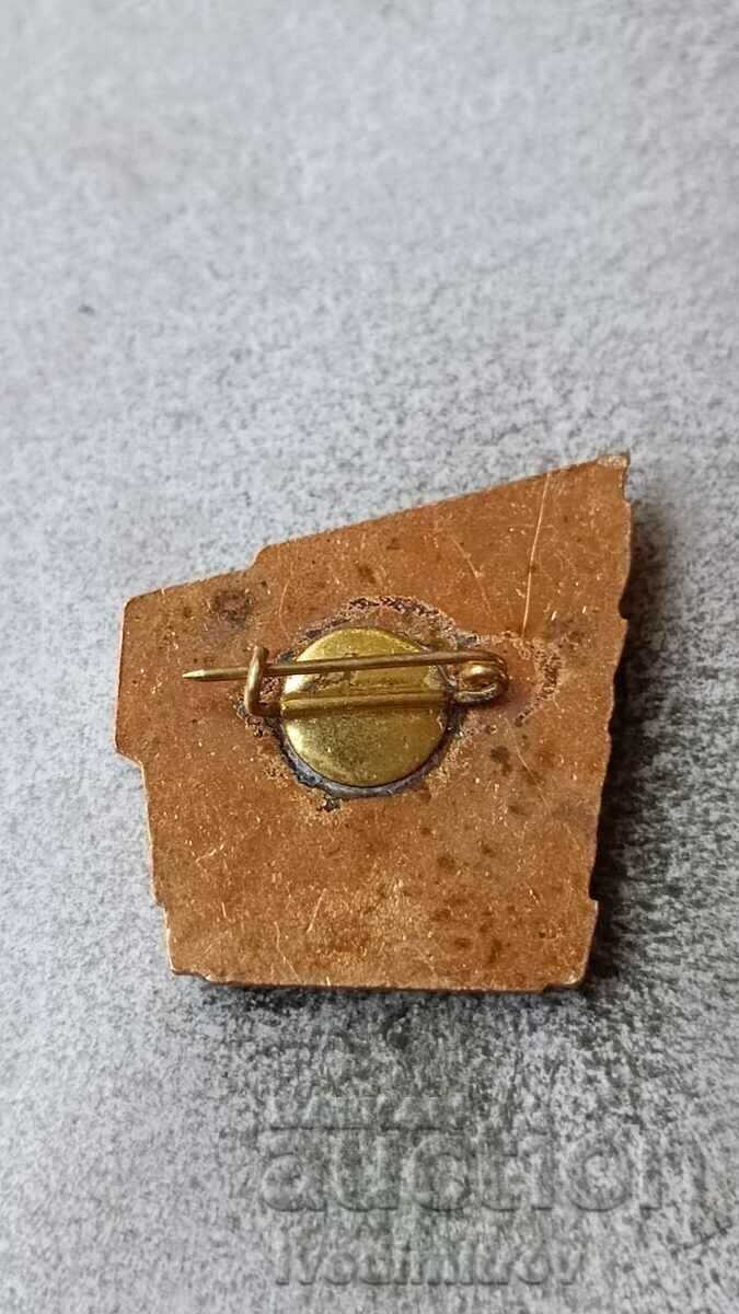 Badge For strike work with price 5.45 BGN | € 2.79