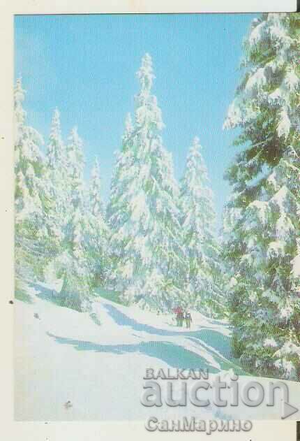 Card Bulgaria Pamporovo View 11**