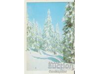 Card Bulgaria Pamporovo View 11**