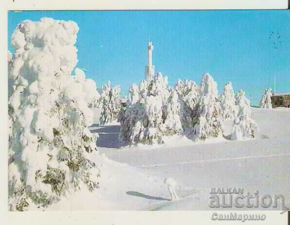 Card Bulgaria Pamporovo View 8**