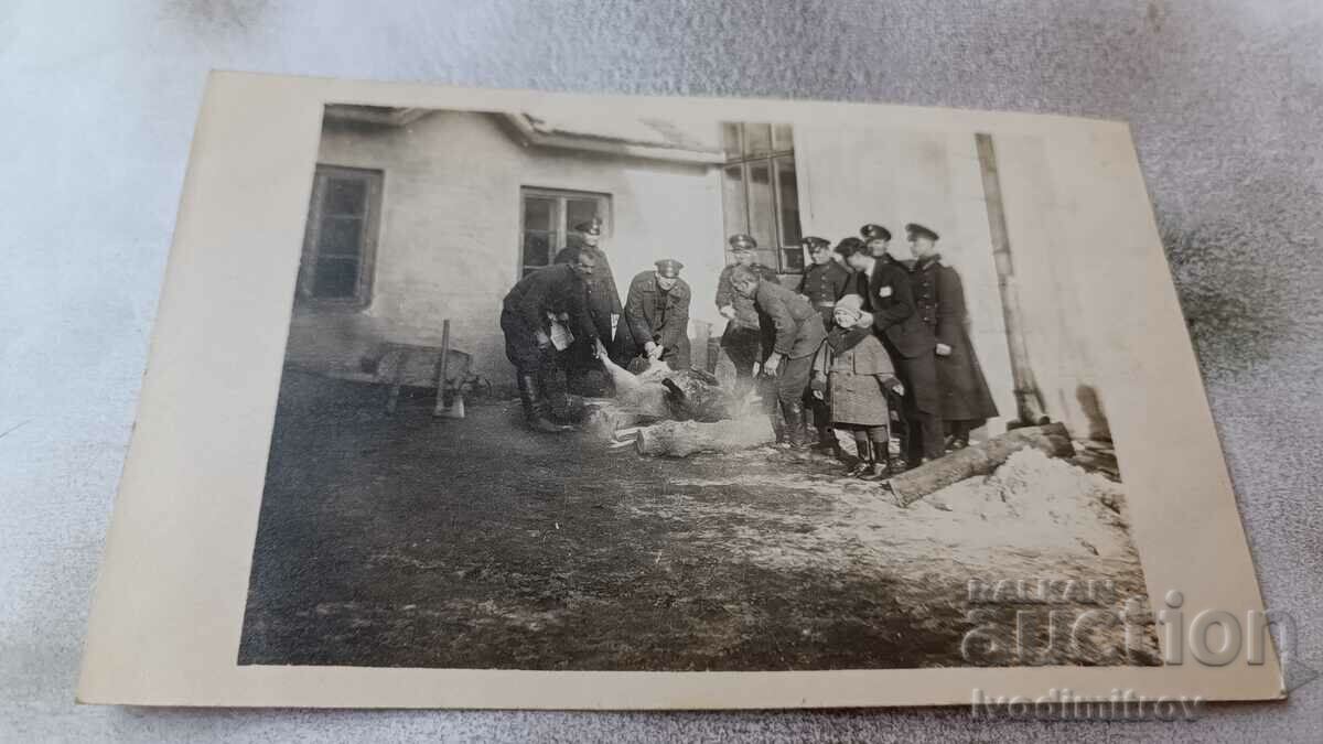 Ska Sofia Policemen snarling a pig from the 5th gender. section 1931