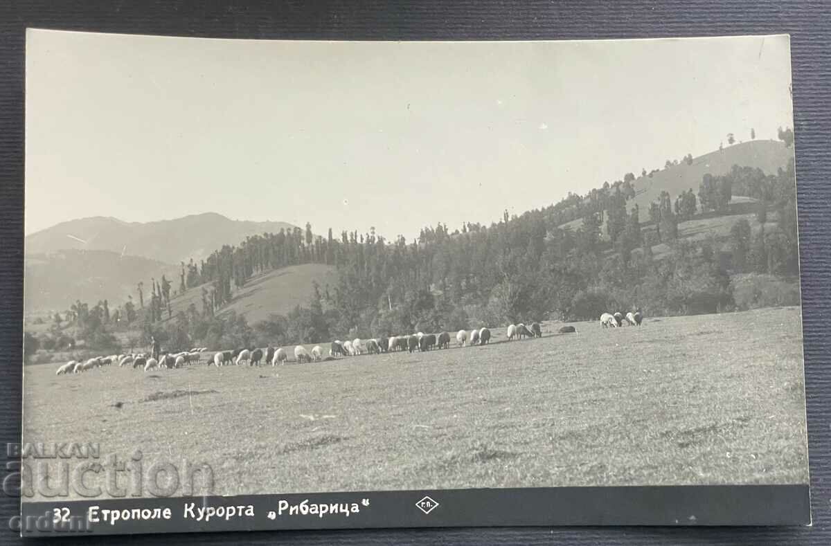 4447 Царство България Етрополе Курорт Рибарица 30-те г.