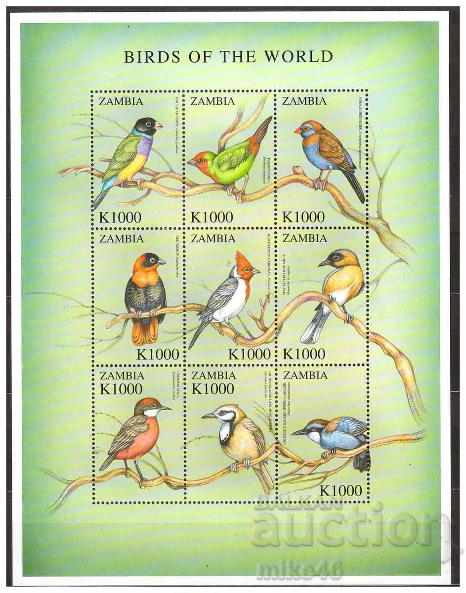 ΖΑΜΠΙΑ 2000 Birds καθαρό μικρό σεντόνι