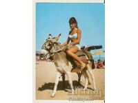 Card Bulgaria Varna Nisipurile de Aur Donkey Maiden*