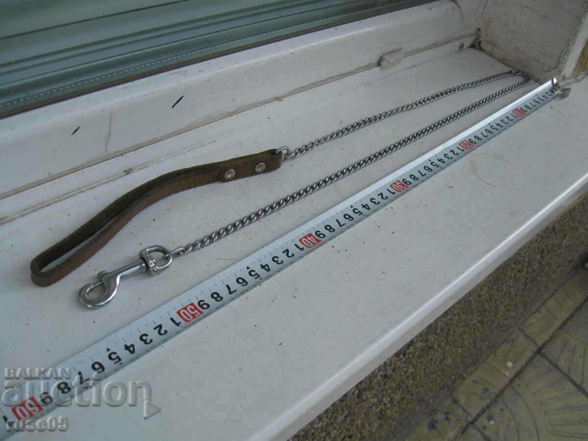 Delivery of An occasion for a dog