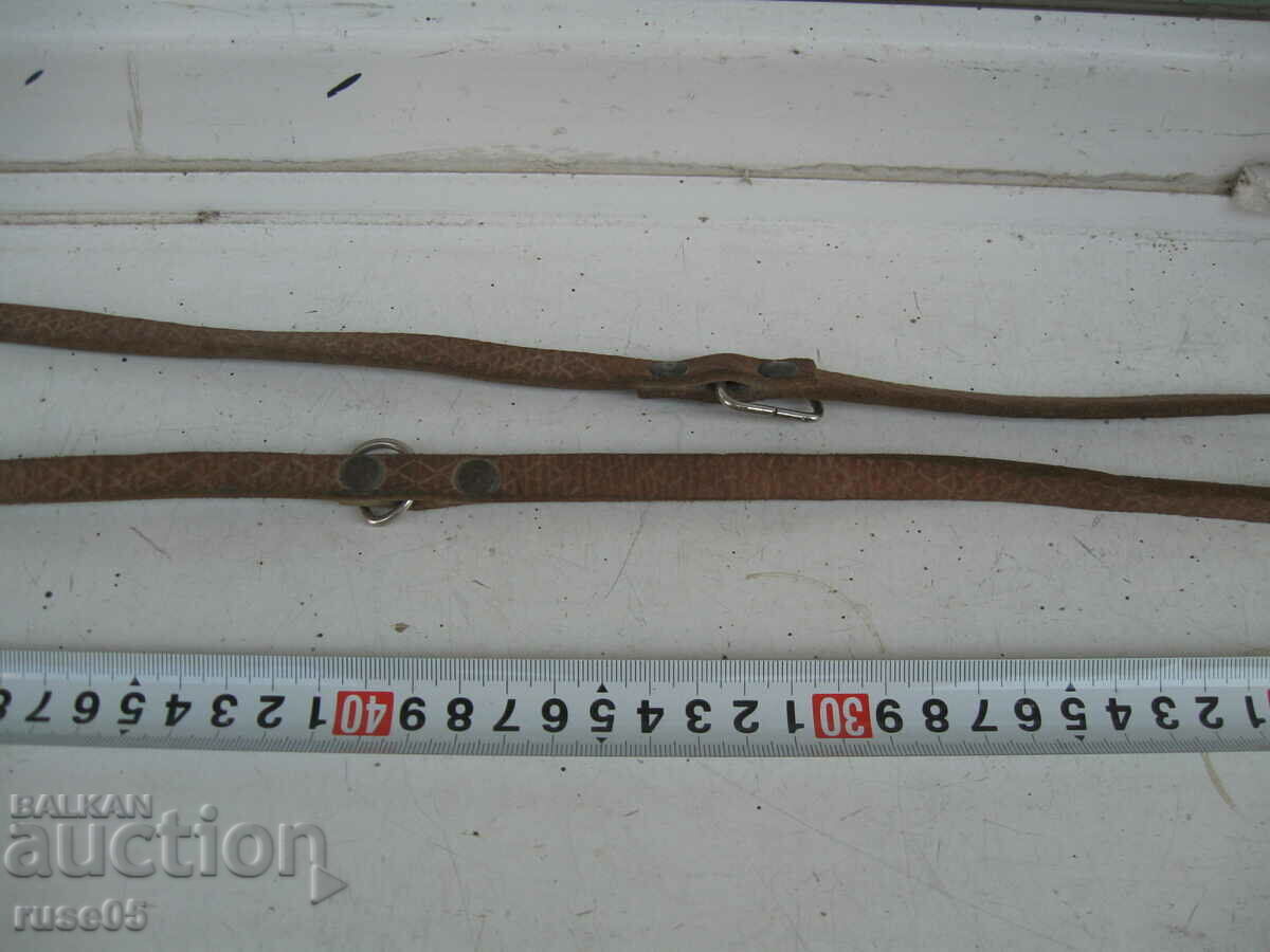 Livrarea Husa din piele pentru caini - 1 Livrarea Husa din piele pentru caini - 1