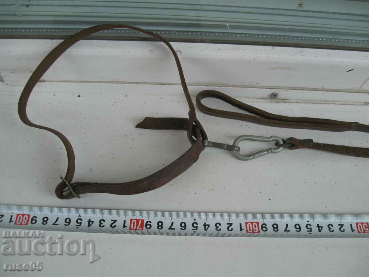 Leather dog case - 2 with price 20.00 BGN | € 10.23