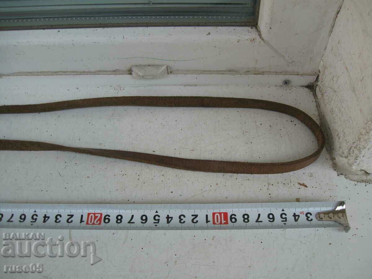 Auction  Leather dog case - 2