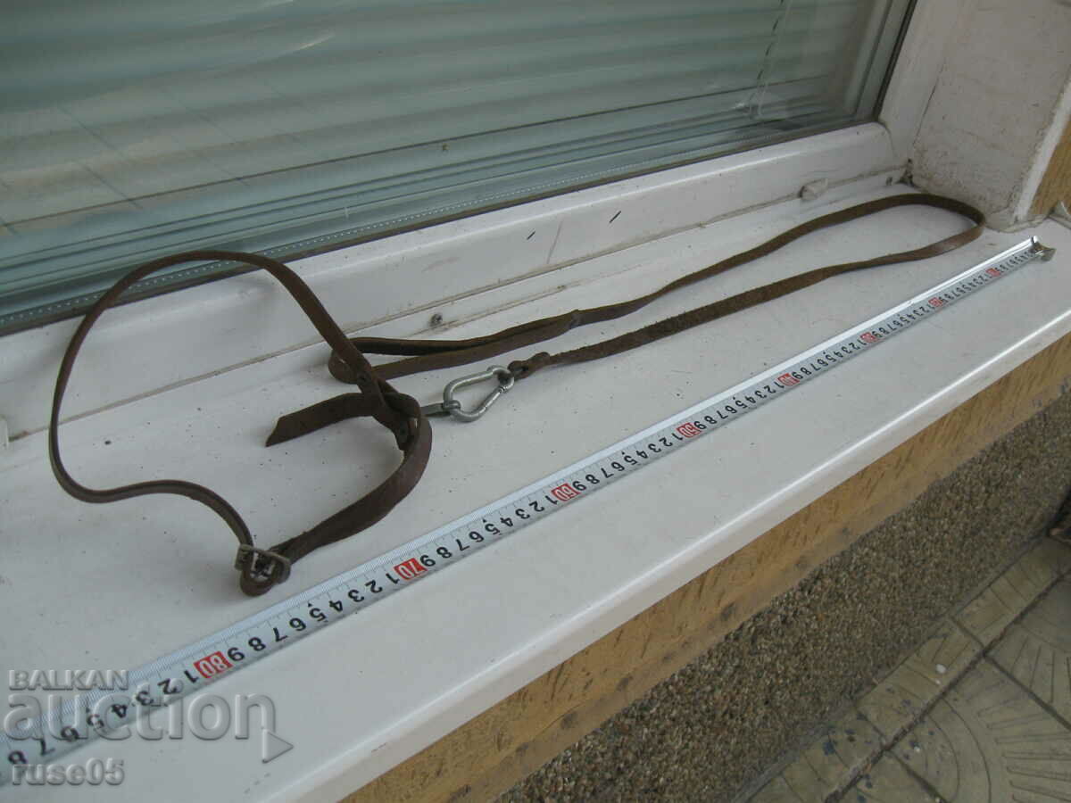 Delivery of Leather dog case - 2