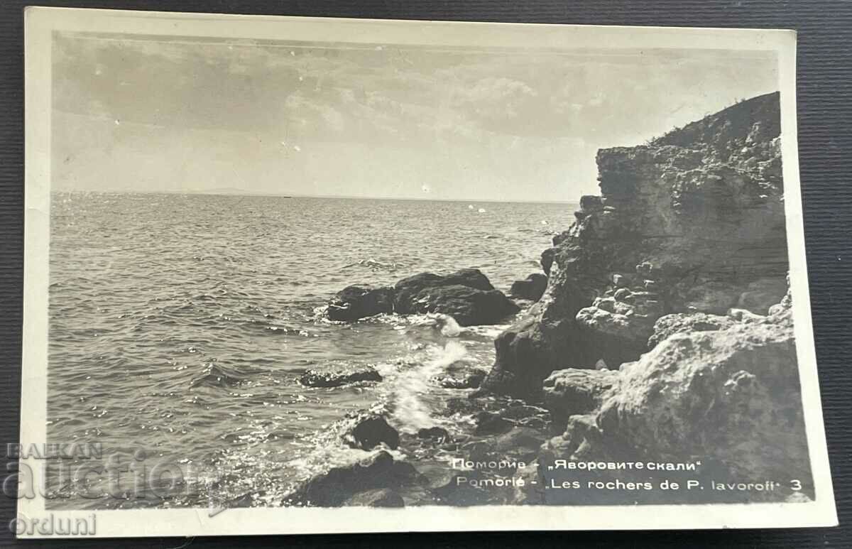 4463 Bulgaria Pomorie Sycamore Rocks 1957