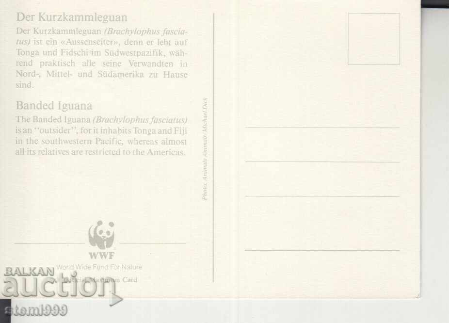 Postcard Maximum FDC Reptiles WWF with price 1.90 BGN | € 0.97 Postcard Maximum FDC Reptiles WWF with price 1.90 BGN | € 0.97