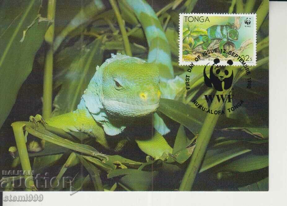 Postcard Maximum FDC Reptiles WWF