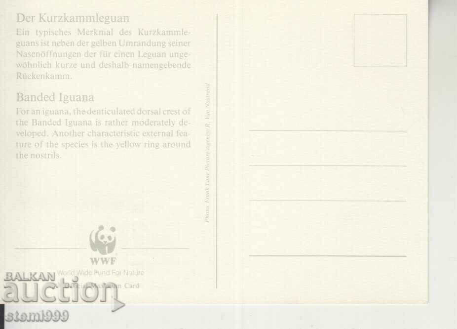 Postcard Maximum FDC Reptiles WWF with price 1.90 BGN | € 0.97 Postcard Maximum FDC Reptiles WWF with price 1.90 BGN | € 0.97