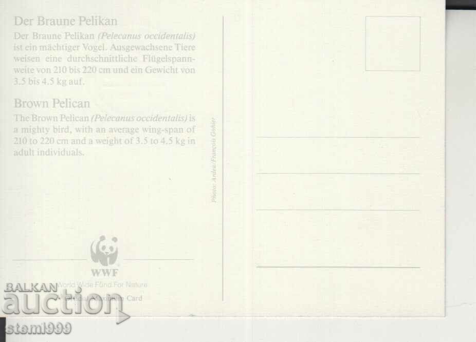 Postcard Maximum FDC BIRDS with price 1.90 BGN | € 0.97 Postcard Maximum FDC BIRDS with price 1.90 BGN | € 0.97