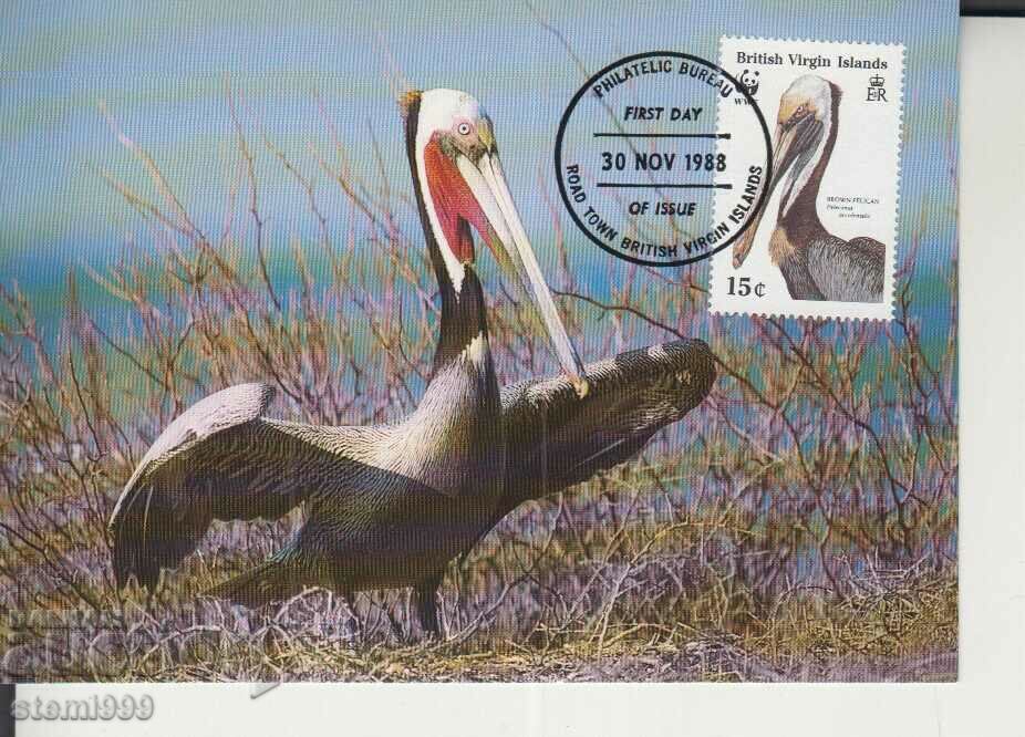 Postcard Maximum FDC BIRDS