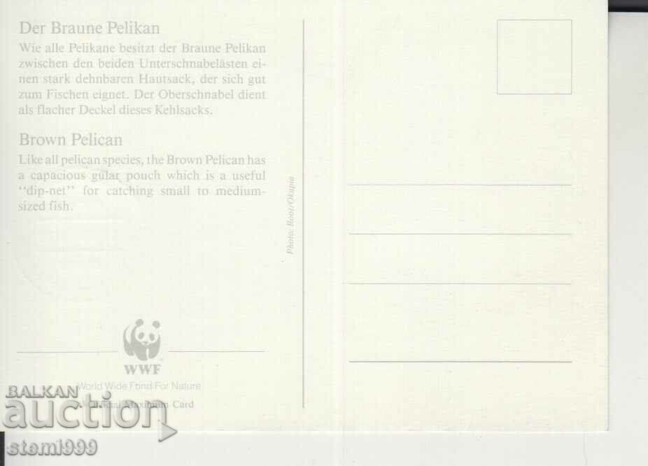 Postcard Maximum FDC BIRDS with price 1.90 BGN | € 0.97 Postcard Maximum FDC BIRDS with price 1.90 BGN | € 0.97