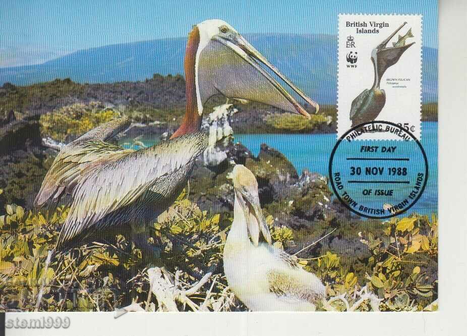 Postcard Maximum FDC BIRDS