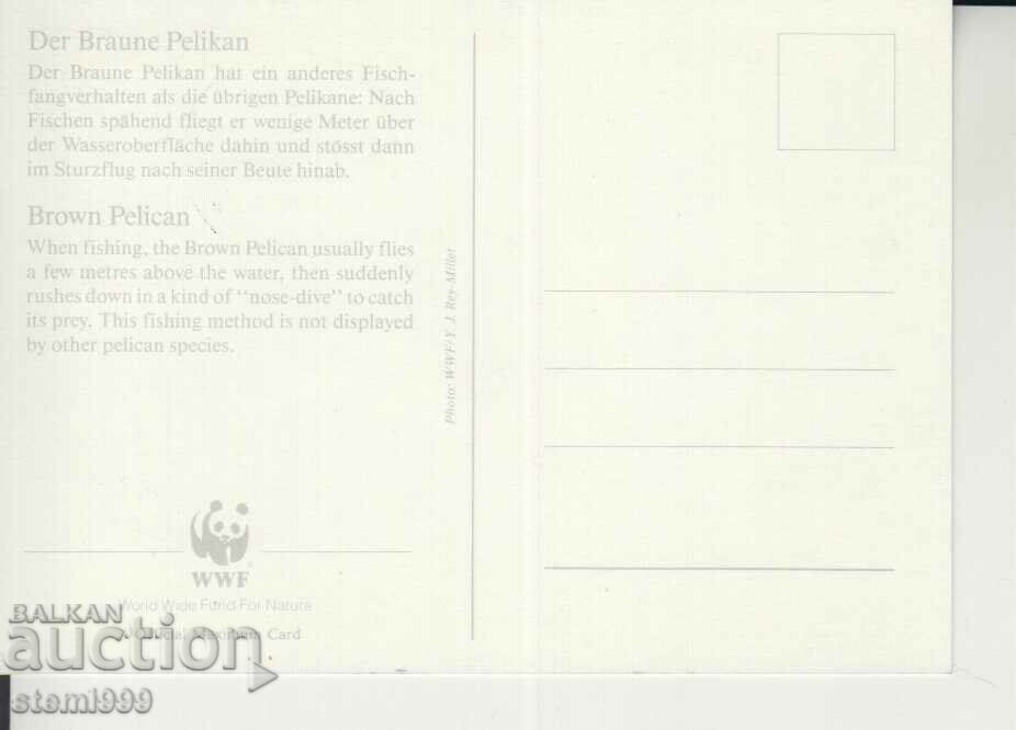 Postcard Maximum FDC BIRDS with price 1.90 BGN | € 0.97