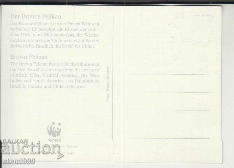 Postcard Maximum FDC BIRDS with price 1.90 BGN | € 0.97 Postcard Maximum FDC BIRDS with price 1.90 BGN | € 0.97