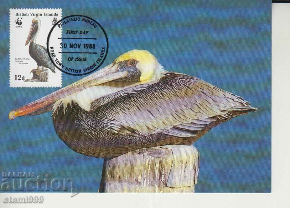 Postcard Maximum FDC BIRDS