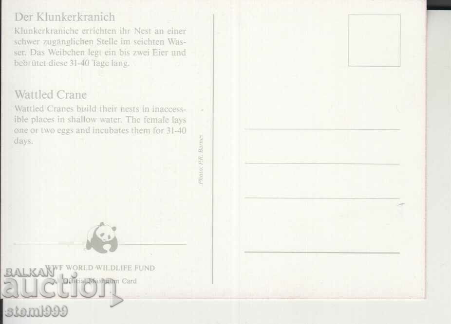 Postcard Maximum FDC BIRDS WWF with price 1.50 BGN | € 0.77