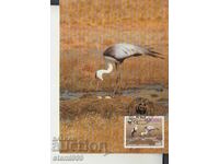 Postcard Maximum FDC BIRDS WWF