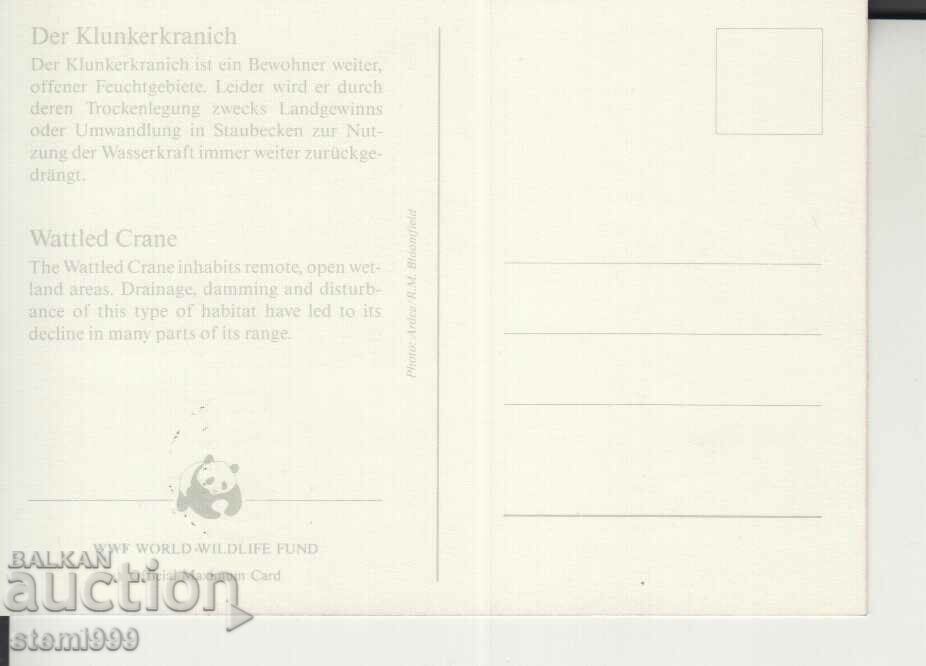 Postcard Maximum FDC BIRDS WWF with price 1.50 BGN | € 0.77