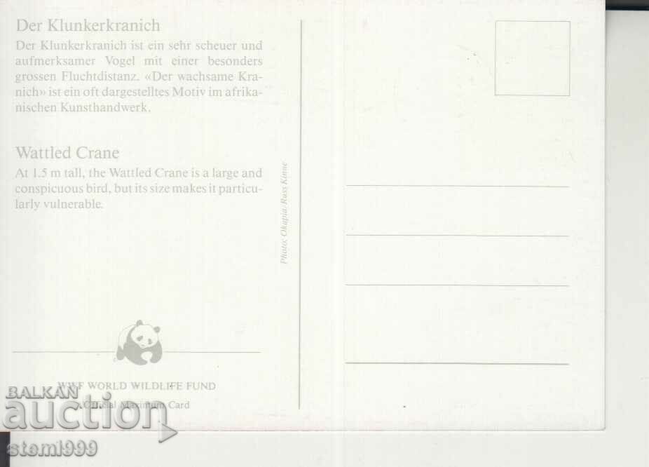 Postcard Maximum FDC BIRDS WWF with price 1.50 BGN | € 0.77 Postcard Maximum FDC BIRDS WWF with price 1.50 BGN | € 0.77