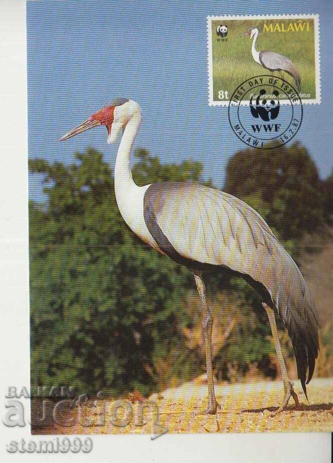 Postcard Maximum FDC BIRDS WWF