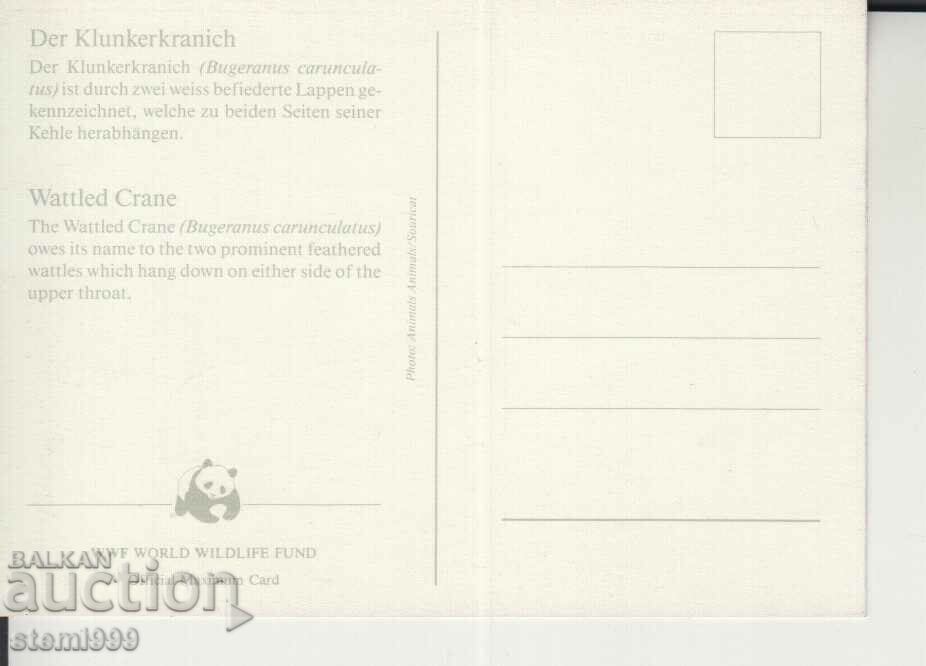 Postcard Maximum FDC BIRDS WWF with price 1.50 BGN | € 0.77