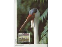 Postcard Maximum FDC BIRDS WWF