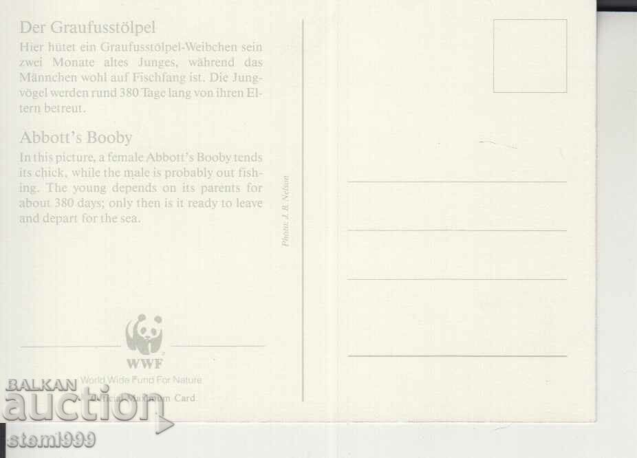 Postcard Maximum FDC BIRDS WWF with price 1.50 BGN | € 0.77 Postcard Maximum FDC BIRDS WWF with price 1.50 BGN | € 0.77