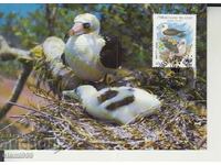 Postcard Maximum FDC BIRDS WWF