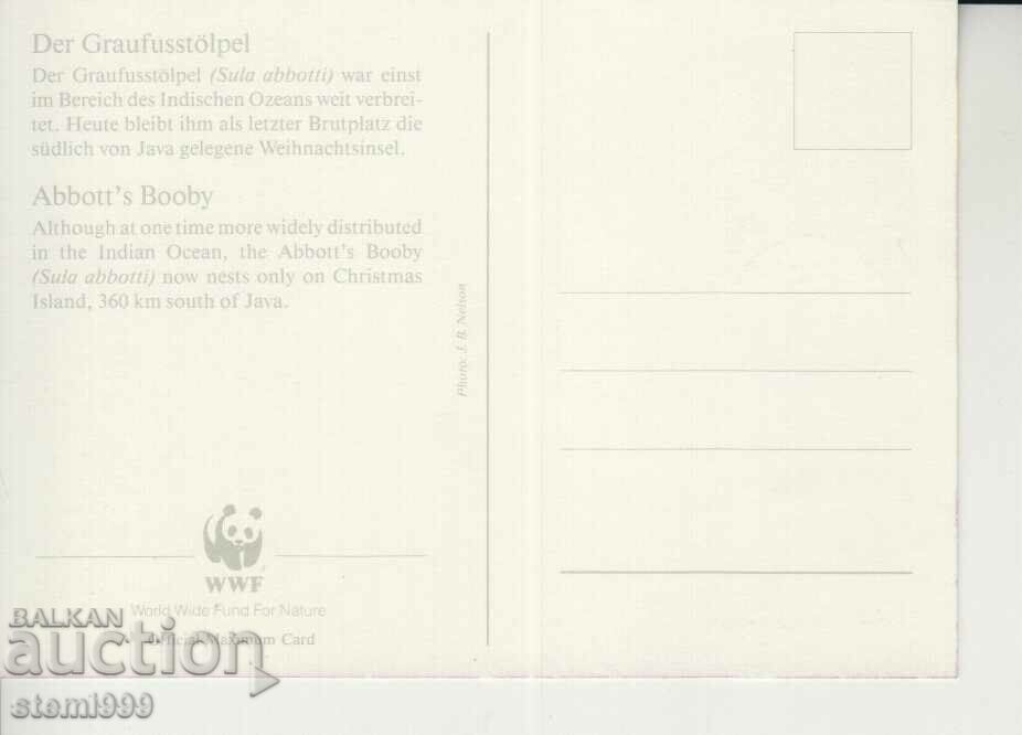 Postcard Maximum FDC BIRDS WWF with price 1.50 BGN | € 0.77 Postcard Maximum FDC BIRDS WWF with price 1.50 BGN | € 0.77