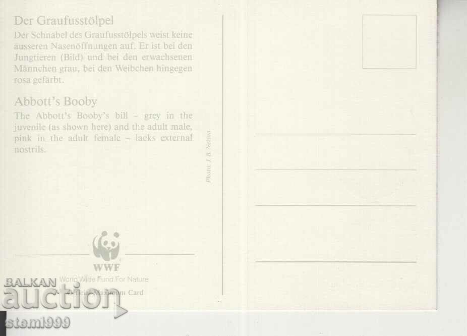 Postcard Maximum FDC BIRDS WWF with price 1.50 BGN | € 0.77 Postcard Maximum FDC BIRDS WWF with price 1.50 BGN | € 0.77