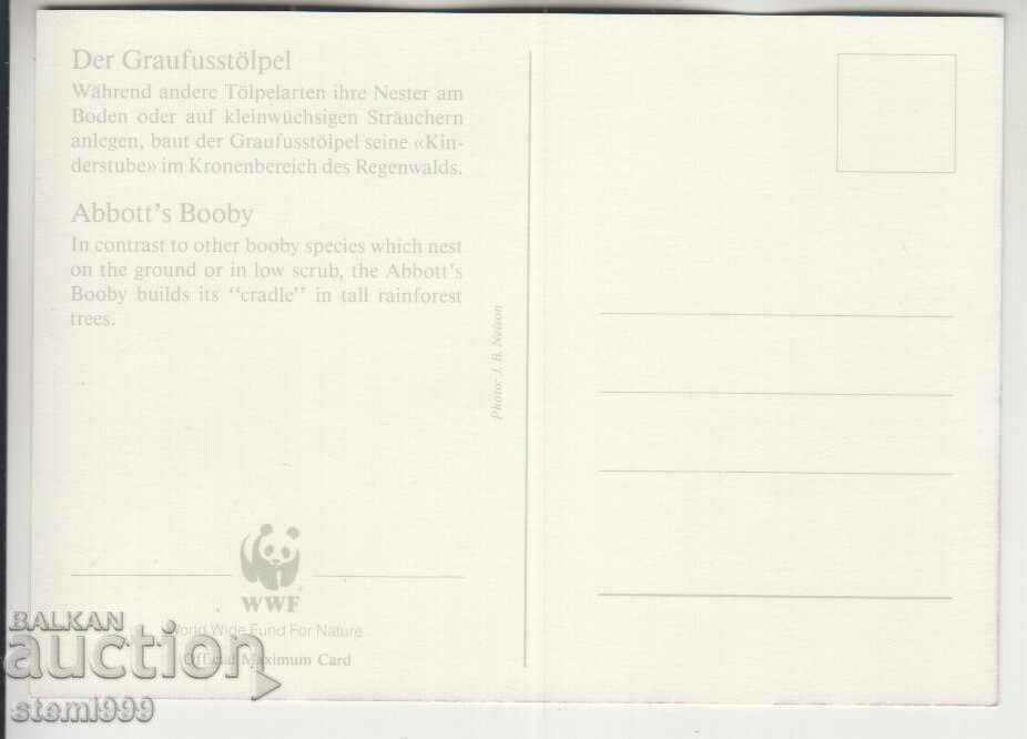 Postcard Maximum FDC BIRDS WWF with price 1.50 BGN | € 0.77 Postcard Maximum FDC BIRDS WWF with price 1.50 BGN | € 0.77
