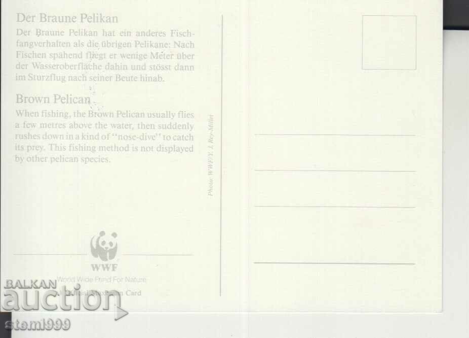 Postcard Maximum FDC BIRDS with price 1.50 BGN | € 0.77 Postcard Maximum FDC BIRDS with price 1.50 BGN | € 0.77