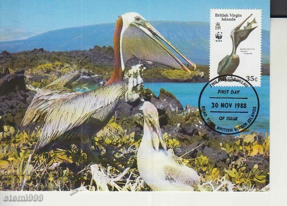 Postcard Maximum FDC BIRDS