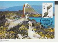 Postcard Maximum FDC BIRDS