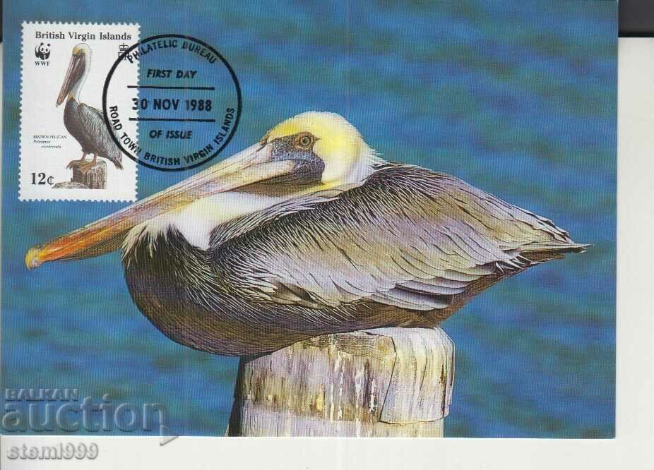 Postcard Maximum FDC BIRDS