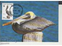 Postcard Maximum FDC BIRDS